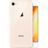 APPLE IPHONE 8 PLUS 64GB GOLD/ORO MOLTO BUONO