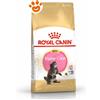 Royal Canin Cat FBN Kitten Maine Coon - Sacco Da 2 Kg
