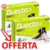 Candioli Dog Duecto Spot-On 10-20 kg - Offerta [PREZZO A CONFEZIONE] Quantità minima 4, Confezione da 4 Pipette