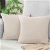 Vielit Federa per Cuscino Divano 50 x 50 cm, Beige, Morbida, Set da 2 in Microfibra, Certificato Ecologico, Resistente Ipoallergenico