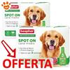 Beaphar Dog Protezione Naturale Spot-On Taglia Media 15 - 30 Kg - Offerta [PREZZO A CONFEZIONE] Quantità minima 4, Confezione da 3 Pipette