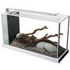 Fluval Askoll 280400 FLUVAL SPEC