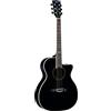 Eko GUITARS - NXT A100CE SEE THROUGH BLACK, Chitarra Acustica Top in Abete, Fasce e Fondo in Mogano, Tastiera in South American Roupanà, Dreadnought Cutaway, Colore Nero
