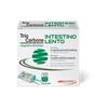 Triocarbone intestino lento 10 bustine