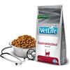 RUSSO MANGIMI SpA VET LIFE NAT FEL GASTRO IN400G