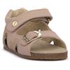 NATURINO FALCOTTO 1M19 ARYLCIPRIA