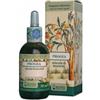 ARCANGEA SRL Progea 50 Ml