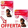 Beaphar Dog Fiprotec Spot-On Taglia Piccola 2-10 Kg - Offerta [PREZZO A CONFEZIONE] Quantità minima 4, Confezione da 3 Pipette