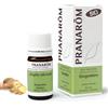Herbalgem italia srl Pranarom Olio Essenziale BIO - Zenzero Rizoma - 5 ml