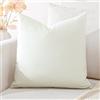 Artscope Federe Cuscini in Velluto Minimalista Copricuscino Colorato per la Decorazione Domestica Soggiorno Camera da Letto Divano 45x45cm, Beige Crema