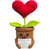 KIAYOO Regalo Cuore, Decorazioni da Scrivania per Casa e Ufficio, Pocket Hug Positive Fiori all'Uncinetto Regalo per Lui Lei Uomini Donne Amici Fidanzato Compleanno Natale San Valentino