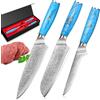 Home Safety Set Coltelli da Cucina 3 Pezzi, in 67 Strati di Acciaio Damascato Vg-10, Coltello da Cucina Professionali, Coltello Chef Manico Ergonomico in Resina Naturale, Confezione Regalo