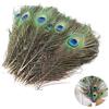 Sqxaldm 15 piume di pavone naturali, 25-30 cm, belle piume di coda di pavone, decorazioni per cappelli, fai da te, artigianato, testa di pavone, decorazione per la casa, cosplay