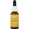 Australian Bush Flower Essences Gocce di transizione