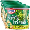 Cameo Snack Friends Arachidi 200 g, Arachidi Tostate e Salate per Aperitivo Conservate in una Pratica Lattina con Coperchio Salva Freschezza, Senza Olio di Palma, Vegano, 200 g Complessivi