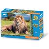 Grandi Giochi Discovery Leone Puzzle Lenticolare Orizzontale, con 500 Pezzi Inclusi e Confezione con Effetto 3D Pu200000