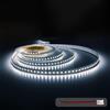 illuburg 24V Striscia LED 5m Bianco Freddo 6000K 128LEDs/m 12W/m 7200lm SMD 2835 Dimmerabile Strip Nastro LED Autoadesiva Illuminazione Decorativa