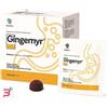 REVALMA INC SRL SOC. BENEFIT GINGEMYR 24 GUMMIES