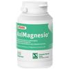 Pegaso Aximagnesio 100 Compresse: Integratore di Magnesio ad Alta Biodisponibilità con Vitamina B6