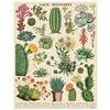 CAVALLINI & CO. Cavallini- Cacti & Succulents 1,000 Piece Puzzle, Multicolore, 1000, PZL/SUC