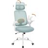 WOLTU Sedia Ufficio Ergonomica con Poggiatesta e Braccioli Regolabili, Supporto Lombare, Poltrona Scrivania Girevole in Rete Traspirante Funzione Dondolo, Blu