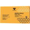 Lines Linea Italiana Pappa Reale lozione per capelli 12 fiale da 10ml
