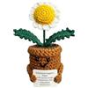 KIAYOO Regalo Margherita, Decorazioni da Scrivania per Casa e Ufficio,Positive Fiori all'Uncinetto Regalo per Lui Lei Uomini Donne Amici Fidanzato Compleanno Natale San Valentino