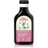 Green Pharmacy Horsetail Burdock Oil 100 ml