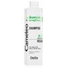 Delia Cosmetics Cameleo Volume & Strengthening 400 ml