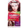 Delia Cosmetics Cameleo Coloring Shampoo 40 ml