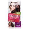Delia Cosmetics Cameleo Coloring Shampoo 40 ml
