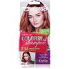 Delia Cosmetics Cameleo Coloring Shampoo 40 ml