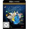 AL!VE AG Aquarium (4K Ultra-HD) [Blu-ray]
