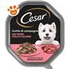 Cesar Dog Ricette di Campagna con Vitello e Tacchino in Salsa - Vaschetta Da 150 Gr