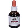 ERBENOBILI Srl FITOMATER ECHINACEA 50ML