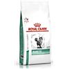 ROYAL CANIN DIETA GATTO DIABETIC 400 G