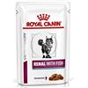 ROYAL CANIN DIETA GATTO UMIDO RENAL 85 G PESCE BUSTINA SINGOLA