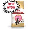 ROYAL CANIN GATTO KITTEN MAINE COON 4 KG