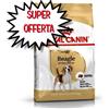 ROYAL CANIN CANE BEAGLE ADULT 12 KG