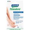 CICCARELLI TIMODORE CEROTTI CALLIFUGHI 6 PEZZI