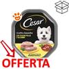 Cesar Dog Ricette Classiche con Pollo e Tacchino in Patè - Vaschetta Da 150 Gr - CONFEZIONE RISPARMIO
