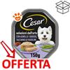 Cesar Dog Ricette Classiche con Agnello e Tacchino in Patè - Vaschetta Da 150 Gr - CONFEZIONE RISPARMIO