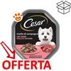 Cesar Dog Ricette di Campagna con Vitello e Tacchino in Salsa - Vaschetta Da 150 Gr - CONFEZIONE RISPARMIO