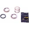 MAVIC Accessori Cambio E Componenti Trasmissione Corpetti Mavic Kit 2 Cricchetti Di Ricambio 24t Con Molla E Grasso Per Corpetti Id360 Mtb