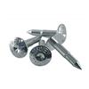 Campania Sistemi srl XGAGHB Chiodi Topografici Professionali Argento 5.5 cm - Confezione da 100 Pezzi