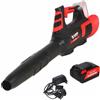 Blue Bird BL 22-300 - Soffiatore a batteria 21V 5Ah
