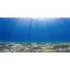 MIRRORANG 91x50cm Acquario Subacqueo Sfondo Sole Blu Oceano Sabbia Spiaggia Terrario Sfondo Acquario Subacqueo Sfondo