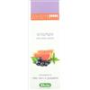 DERBE SRL Derbe Shampoo Anti Untuosita' 200 Ml