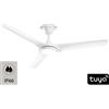 Perenz - Ventilatore Nova 7194 B CT