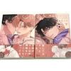 Japanese Yaoi BL Manga Comics Set / SUEHIRO MACHI Fake Fact Lips break vol.1-2